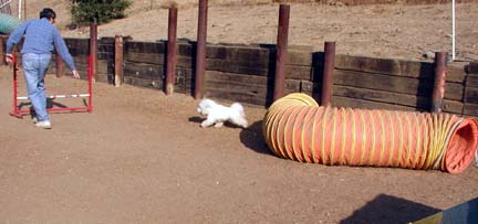 Cody Tunnel