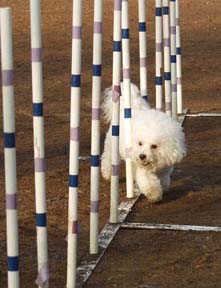 Chipper Weave Poles