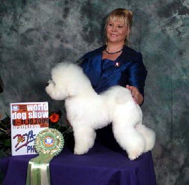 world show - archie