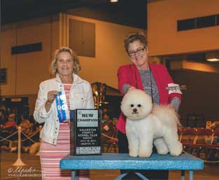 Houdini New Champ