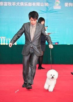 Sexy Boy with Roy