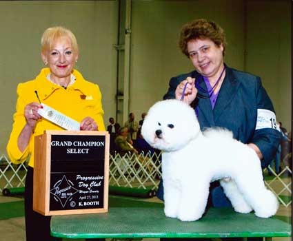 Sexy Boy GCH SEL 2013