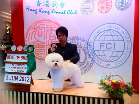 Ping New China Champion