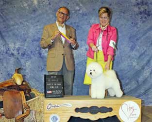 Pippa Best of Breed