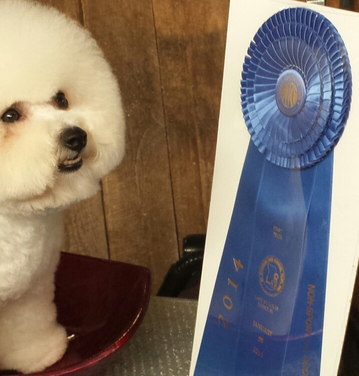 Pippa G1 Ribbon