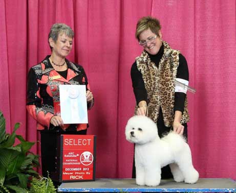 Pippa Eukanuba Grand Champion Select