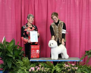 Pippa Eukanuba Select