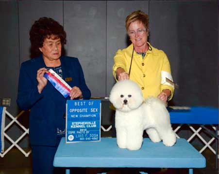 Pippa New Champion