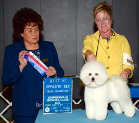 Pippa New Champion