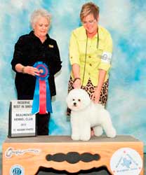 Pippa Reserve Best in Show