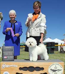Pippa Winners Bitch