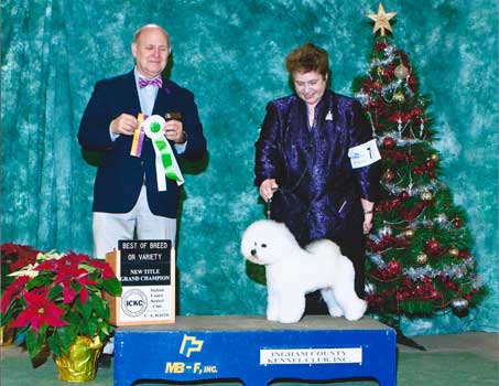 Sexy Boy New Grand Champion Dec 1 2013
