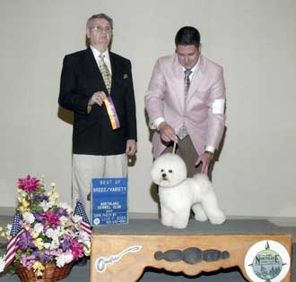 Zorro BOB 2011
