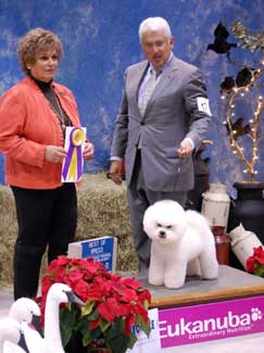 Dominick BOB 2012 Eukanuba Mimi Winkler